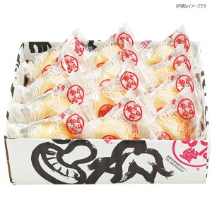 ͓ ₫12l[IR-12A]300_ ₫Zbg ~Mtg œK 蕨ɍœK lC 蕨 ȒP ` Z ₫ LX̂₫  v[g bɂȂ