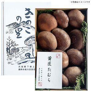 yz錧}Ԏs ĉ MiiL  ~Mtg œK lC ґ   蕨 v[g bɂȂl j  yY p Ε Nn e c