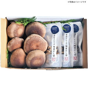 yz錧}Ԏs ĉ őZbg ~Mtg œK lC ґ   蕨 v[g bɂȂl j  yY p Ε