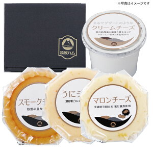 yz錧Ύs }gn `[YMtgZbgmCS-30n ~Mtg œK lC ґ   蕨 v[g bɂȂl j  yY p Ε Nn