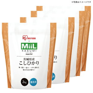 yzMiiL 錧YЂ薳 ~Mtg œK lC ґ   蕨 v[g bɂȂl j  yY p Ε Nn e c Fl N 