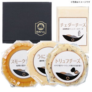 yz錧Ύs }gn `[YMtgZbgmCS-45n ~Mtg œK lC ґ   蕨 v[g bɂȂl j  yY p Ε Nn