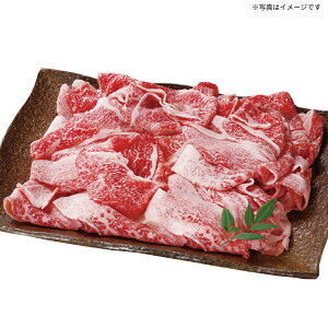 yz헤 ؗĂp ~Mtg œK lC ґ   蕨 v[g bɂȂl j  yY p Ε Nn e c Fl N Nn