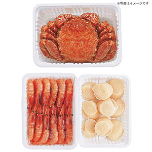 yzтɁEقāEуZbg ~Mtg œK lC ґ   蕨 v[g bɂȂl j  yY p Ε Nn e c Fl N 