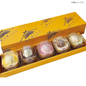 ~Ö MfRoEl5 oEN[w Ε Ε ~Mtg oEN[wZbg ĉَqZbg v[g œK 蕨 ΂邨 Jt p  