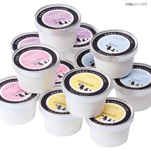 錧ʎs OMITAMAACXZbg ~MtgΕ Ε ACX ݂ ݂܃ACX XC[c Zbg  lߍ킹   Ȃ߂炩 Z Mtg v[g  