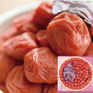 錧 gc ON~mSS-40n~ ONn ґ򂨎 lCO V܂̖ NHi ~ |~ NHi Y n~ ґ ΂ L