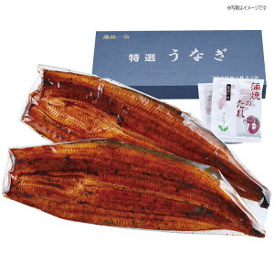 mO͎Y mYȂăZbg ~Mtg œK lC ґ   {̖o ɏ̑Nx X  ґ  ΂ 蕨 v[g bɂȂl j 