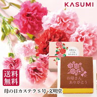送料無料 母の日 5月8日～10日お届け 文明堂 OM母の日カステラS号 数量限定 お母さん いつもありがとう 2…