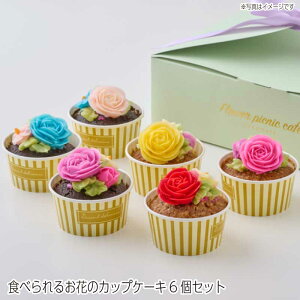 【送料無料】食べられるお花の カップケーキ 6個セット おしゃれ カラフル 可愛い ミニケーキ 誕生日 プレゼント ギフト かわいい お取り寄せ キャロットケーキ バタークリームケーキ 詰め