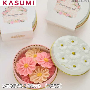 Ԃ̂ڂ3ʃZbgiRXXj {[ َq 킢  kC   IV Jt Ԃ̌` َq ʓ 蕨 a v[g LO oYj j 