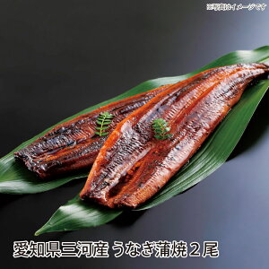 yz ȂĂ 2 160g×2 ^AR×2 ăMtg hV̓ Ȃ Ă  Ȃ Y O O͎YȂ ⓀȂ Mtg 蕨 p  ΂ yY