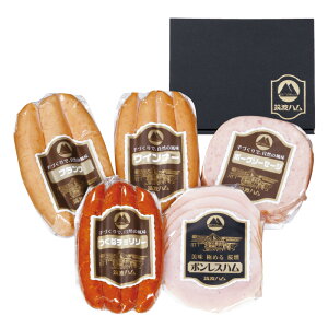 錧Ύs }gn MtgZbgmKD-40n ~Mtg Ε Ε [Xn ECi[ nZbg  L X[N  lߍ킹 Zbg { j  e