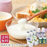 夏ギフト 送料無料 夏のギフト 御中元 お中元 茨城県小美玉市 おみたま ヨーグルトセット 直送便・冷蔵 …