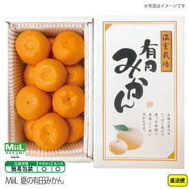 【送料無料】夏ギフト 中元ギフト summer gift MiiL 夏の有田みかん 和歌山県産 1kg 7/1～順次発送 ※個数は目安です 大切な方へ ご友人 ご家族 ご自宅用 手土産 おつかいもの