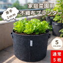 【選べるレビュー特典！】不織布プランター 厚手2mm 家庭菜園 野菜栽培 ベランダ プランター 大型 深型 不織布ポット …
