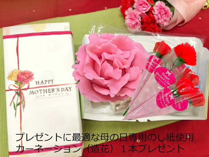 楽天市場 母の日 プレゼント ２０２１ クーポン 母の日 練り切り 手作り 練り切り 和菓子 母の日 ギフト 母の日 似顔絵 完成品 和菓子 6個 お取り寄せグルメ スイーツ グルメ プレゼント 実用的 カーネーション 母親 60代 送料無料 スイーツセット お菓子スイーツ 花