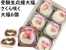 さくら咲く プチギフト桜 さくら 和菓子 合格祈願 お菓子 詰め合わせ 必勝 セット【合格祈願 さくら咲く大福 6個】合格祈願 グッズ お菓子 合格祝い 合格お菓子　のし文字いり メッセージ お守り 受験 合格祈願グッズ 受験生 かわいい お守り菓子内祝い　ホワイトデー