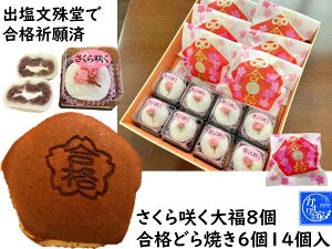 iF َq lߍ킹 K Zbg ɕ{V{y󌱐  ǂĂ 6 炭啟8ziF ObY َq ij i  bZ[W   NHK͂悤