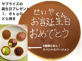 一生どら焼き 4種類のあん 送料無料 誕生日 クリスマス 大きいどら焼き 誕生日 和菓子 プロポーズ プレゼント お祝い 就職 お返し お菓子 ギフト 1,8kg スイーツ 結婚式 二次会 ケーキカット サプライズ 開店 1 周年記念 名入れ メッセージ入れ おやつお取り寄せ お返し