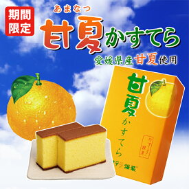 銀装　撰菓 甘夏かすてら ハーフ