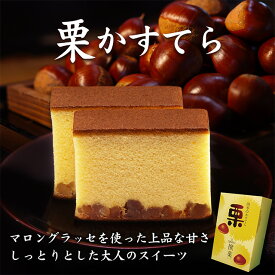 銀装　撰菓 栗かすてら ハーフ（5切れ） ギフト スイーツ お菓子 和菓子 洋菓子 銀装 プレゼント お土産 内祝い お歳暮 お礼 お供え お中元 高級 老舗 焼き菓子 送料無料 常温 手土産 賞味期限 詰め合わせ 切り落とし