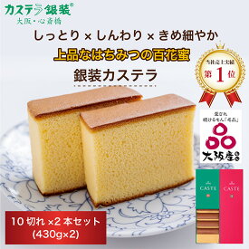 銀装 カステラ《青箱》《赤箱》詰合せ AB26 5枚スライス×2パック入り×2本　ギフト スイーツ お菓子 和菓子 洋菓子 銀装 プレゼント お土産 内祝い お歳暮 お礼 お供え 香典返し お中元 高級 老舗 焼き菓子 送料無料 常温 手土産 賞味期限 詰め合わせ 切り落とし