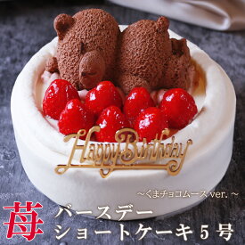 あす楽 誕生日ケーキ バースデーケーキ 4号 ( 2人 ～4人) 5号 (4人～6人) 送料無料 イチゴ 苺 いちごケーキ 熊ケーキ いちご ケーキ ホール フルーツケーキ パーティー デザート お祝い 誕生日 ケーキ 誕生日プレゼント スイーツ ギフト お菓子 誕生日スイーツ 子供 大人