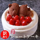 訳あり 苺ショートケーキ 送料無料 4号 12cm ( 2人 ～4人) 5号 15cm ( 4人 ～6人) ショートケーキ イチゴ ケーキ 苺 いちご くま ケーキ チョコ チョコムース フルーツケーキ チョコムース チョコ スイーツ 子供 大人 お取り寄せ 冷凍配送
