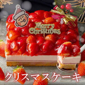  NX}XP[L \ 2025   ^gP[L    C`S ^g P[L 4 2l 2lp ` 4lp t[cP[L fU[g l q lC  N