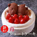 訳あり 苺ショートケーキ 送料無料 4号 12cm ( 2人 ～4人) 5号 15cm ( 4人 ～6人) ショートケーキ イチゴ ケーキ 苺 いちご くま ケーキ チョコ チョコムース フルーツケーキ チョコムース チョコ スイーツ 子供 大人 お取り寄せ 冷凍配送