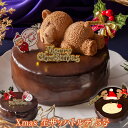 クリスマスケーキ 2023 予約 送料無料 チョコ 4号 ( 2人 ～4人) 5号 ( 4人～6人) チョコレート ケーキ7層 魅惑の 生ザ…