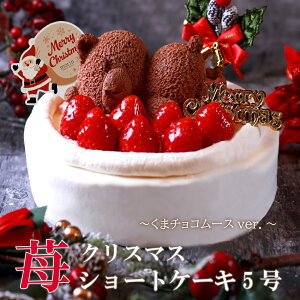 NX}XP[L \ 2025  4 12cm ( 2l `4l) 5 15cm ( 4l `6l) XmasP[L C`S P[L   V[gP[L  P[L v[g q l p[eB[ fU[g 