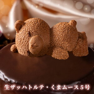 aP[L `R  av[g o[Xf[P[L Ubnge  P[L 4 5 `R[g a LO j j Ԃ oYj j ސE   