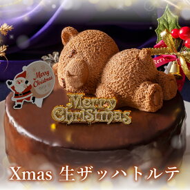 早割 クリスマスケーキ 2025 予約 送料無料 ザッハトルテ くま ケーキ チョコレート ケーキ 4号 5号 高級 クリスマス ケーキ スイーツ ギフト お菓子 もりん 可愛い 濃厚 チョコ ホールケーキ 大人 子供 お祝い パーティー デザート クリスマス お取り寄せ ケーキ 冷凍配送