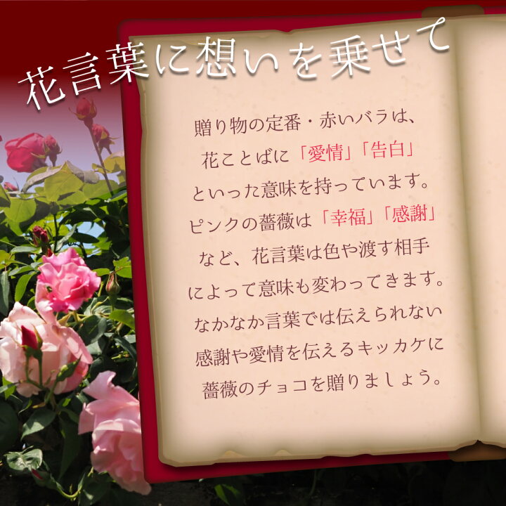 楽天市場】薔薇 チョコレート 詰め合わせ 高級 おしゃれ 誕生日 