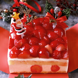 NX}XP[L 2025 \  V[gP[L C`S   P[L `R `R[g V[gP[L 4 2l 3l 4l fR[VP[L t[cP[L fU[g lC 