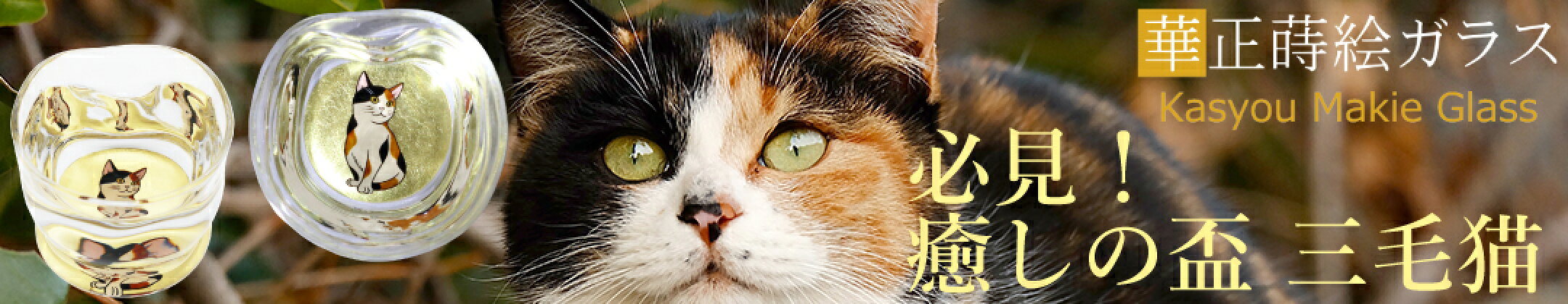 必見！癒しの盃 三毛猫