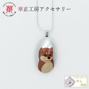 ؐH[ IEL Gy_g Č G ANZT[ pendant Ck  y_g lbNX fB[X  a v[g