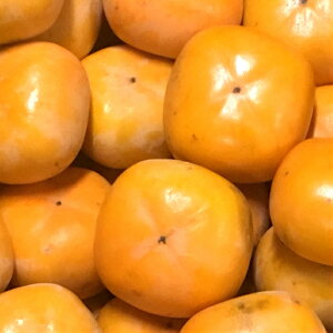 _yw_Ew엿z˂Ȃ`@(E)@pI킹`@i@Ε@H@o@@`@JL@@j` @11`12@Gi