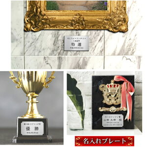 Dv[g LOiv[g l[v[gyꍏ󖳗zXeX Vo[ 50×30mm X|[c  ReXg Cxg St Ry z[C yďv \ V[