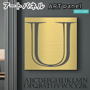 A[gpl Acrylic Wall Art Panel yUz_  Ǌ| CjV At@xbg A[g{[h  CeA ^J S[h  ` lp stbNΉ ȒPt { 