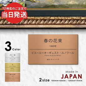 【〜12:00注文で当日発送】キャプションボード【名入れ刻印無料】S-M シルバー ゴールド ブロンズ 額縁プレート 題名 作品名 タイトル 作者名 美術館 個展 絵画 展示会 ギャラリー アート ステンレス調 真鍮風 銅板風 シール式 メール便 送料無料