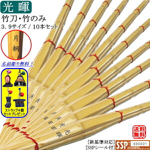 㐻|E|̂ 3.9st10{Zbgi@薳I[SSPV[t][VΉ] (kCEꌧ)y  |zyRCPz