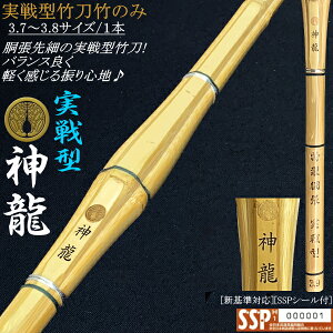 s_t^ג| 3.73.8TCY / 1{@(kCEꌧ)@[SSPV[t][VΉ]y H^  ׁzyRCPz