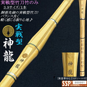 s_t^ג| 3.9TCY / 1{@(kCEꌧ)@[SSPV[t][VΉ]y  | H^  ׁzyRCPz