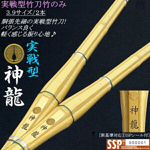 s_t^ג| 3.9TCY / 2{ZbgiI (kCEꌧ) [SSPV[t][VΉ]y  | H^  ׁzyRCPz