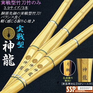 s_t^ג| 3.9TCY / 3{Zbgi 薳I(kCEꌧ)@[SSPV[t][VΉ] y  | H^  ׁzyRCPz