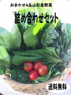 【野菜 詰め合わせ おまかせ4品】野菜セット 旬野菜 新鮮野菜 国産野菜 ご当地野菜 旬の野菜 季節野菜 季…