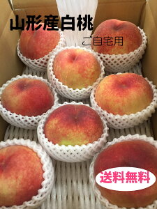 ���i�摜